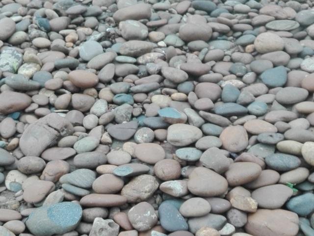 background2.jpg